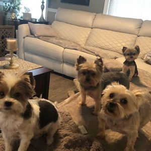 Meet your Posher, Cindy